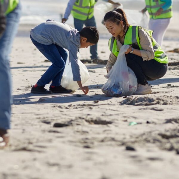 Beach clean ups